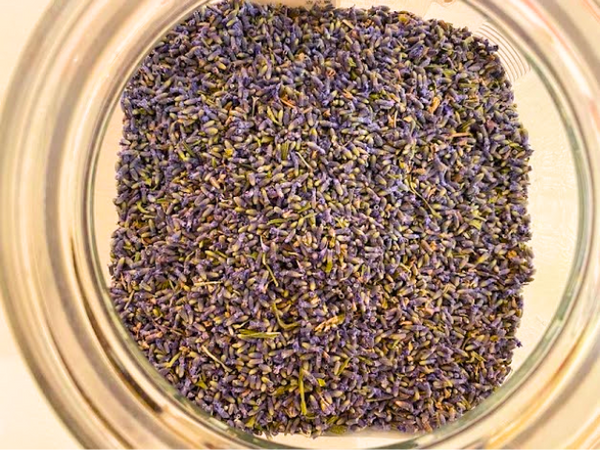 Lavender tea in a jar