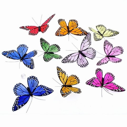 Colorful butterfly decoration