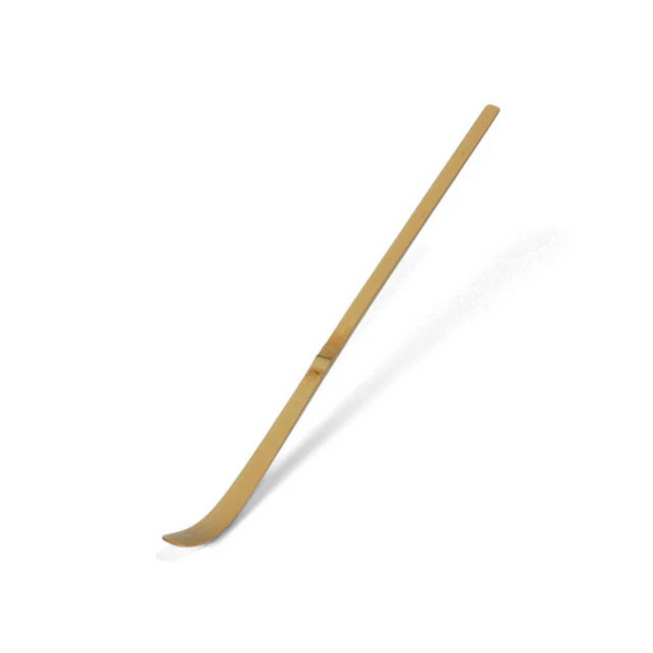 Bamboo matcha spoon on a white background