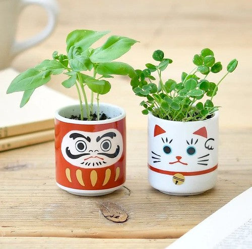 Daruma and lucky cat planters