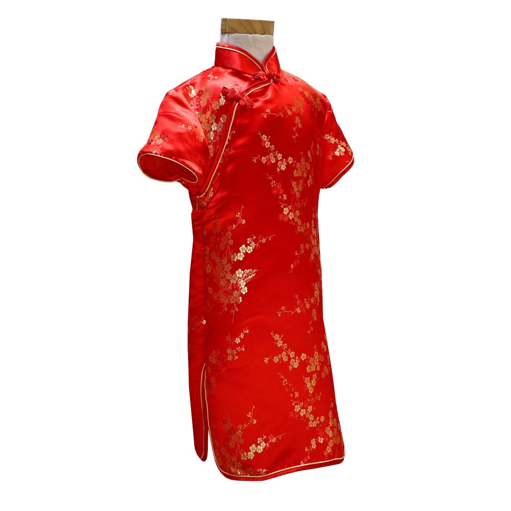 Girls Short Sleeve Brocade Dress