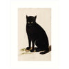 Black Cat Greeting Card