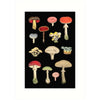 Mushrooms Greeting Card