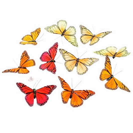 Collection of colorful butterflies on a white background