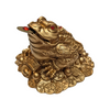 Money toad gold