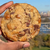 Hand holding a chocolate chip cookie with a blurred outdoor background