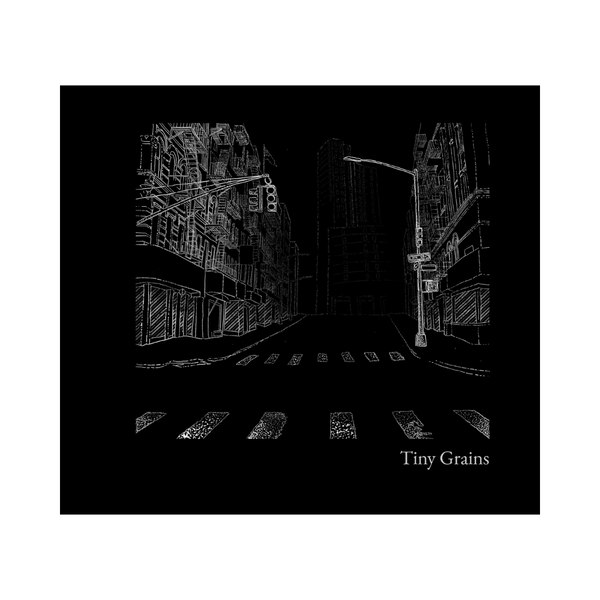 Tiny Grains book cover: black and white rendering of street in Chinatown NYC