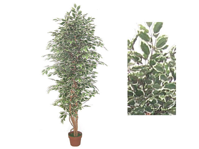 Artificial Tree - Ficus