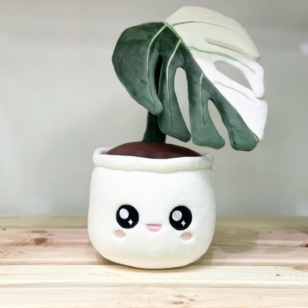 Monstera Albo Plush