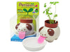 Peropon Plant - Growing Garden - Dog (White Clover)