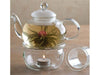 Blooming Jasmine Ball in bloom in a glass teapot