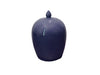 Violet Melon shaped ceramic jar.